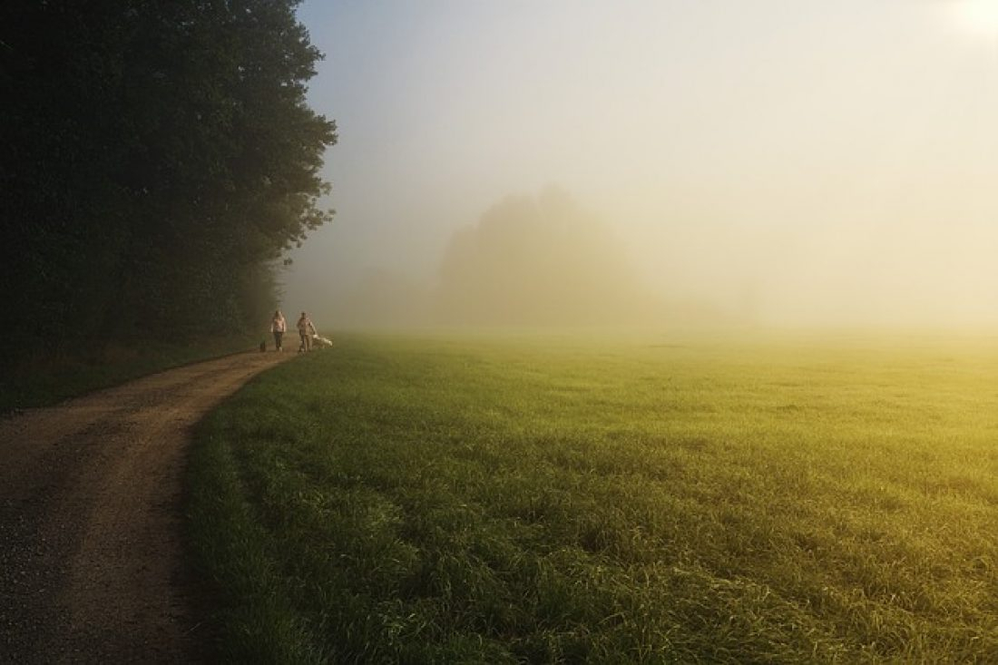 Themenmonat - Wald und Wiese Teil 1 
